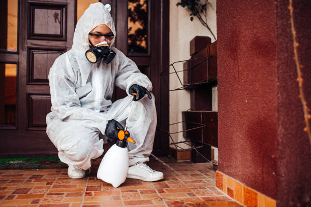 Reliable Bed Bug Control contractor in Blackwood, NJ by Nex Pest Control