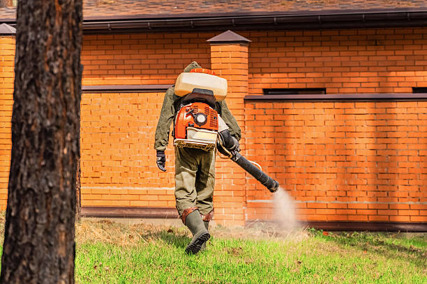 Trusted Bed Bug Control service in Blackwood, NJ - Nex Pest Control